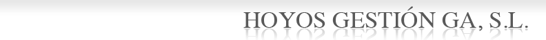 hoyos-gestion